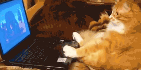 Quand le stagiaire me fait une démo de ce qu'il a codé en mon absence