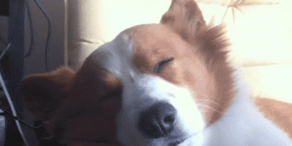 Quand je me réveille en retard après avoir passé la nuit à coder