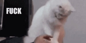 Quand je fais le ménage dans du code historique