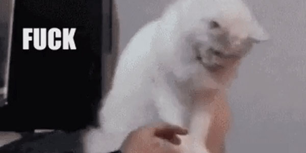 Quand je fais le ménage dans du code historique