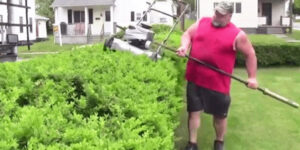 Quand j'utilise une bibliothèque sans lire sa doc