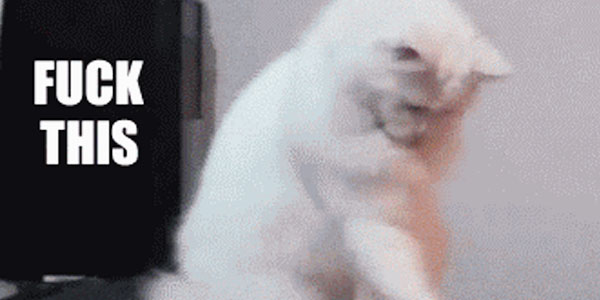 Quand on me transmet plein de bugs juste avant mon départ en week-end