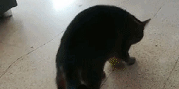 Quand j'exécute un script sans savoir ce qu'il fait