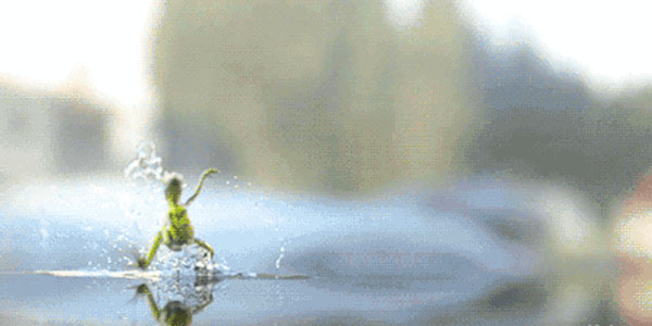 Quand j'entends le mot "afterwork"