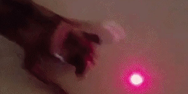 Quand en cherchant à corriger un bug j'en découvre des dizaines d'autres