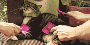 Quand je suis le seul dev dispo dans l'open space et que les commerciaux ont besoin d'un coup de main