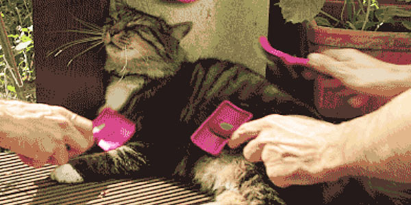 Quand je suis le seul dev dispo dans l'open space et que les commerciaux ont besoin d'un coup de main