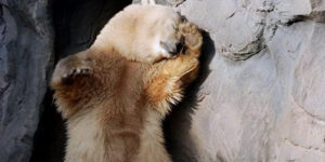 Cachez ce plain text que je ne saurais voir