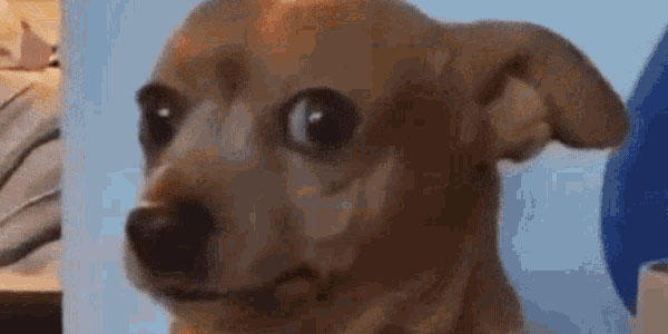 Quand le commercial s'apprête à cliquer sur un bouton que j'ai pas du tout testé