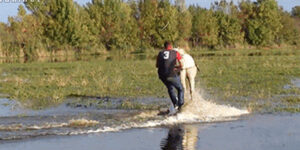Quand je suis obligé de travailler avec une fonction dépréciée