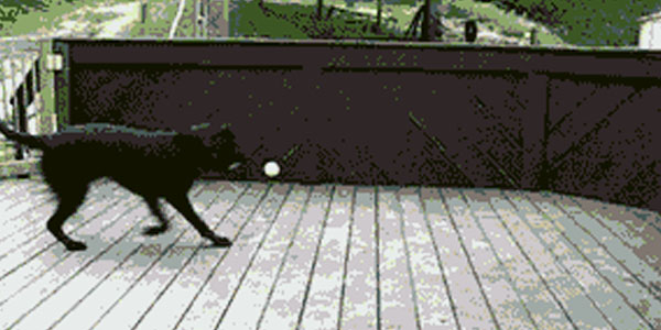 Quand je suis de support et que plusieurs prods plantent en même temps