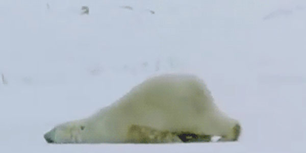 Quand je retourne au bureau après le week-end de Noël