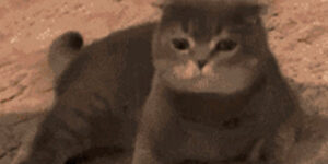 Quand le bug se trouve dans une fonction à laquelle je n'avais même pas pensé