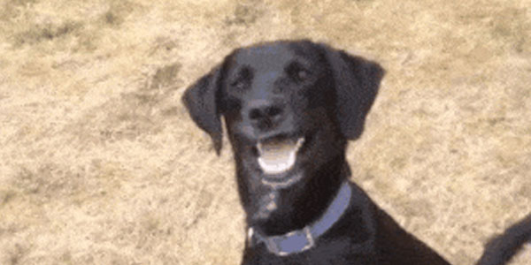 Quand j'essaie de comprendre le code que j'ai écrit la semaine dernière