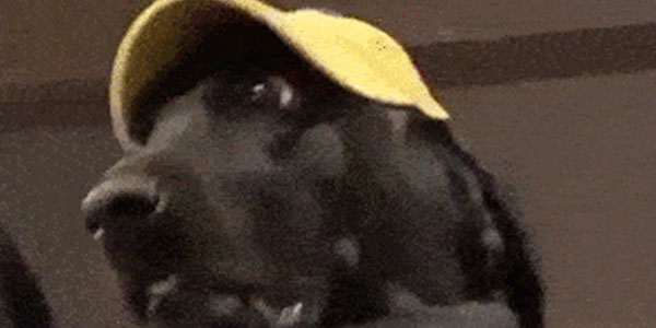 Quand le stagiaire participe à sa première réunion technique