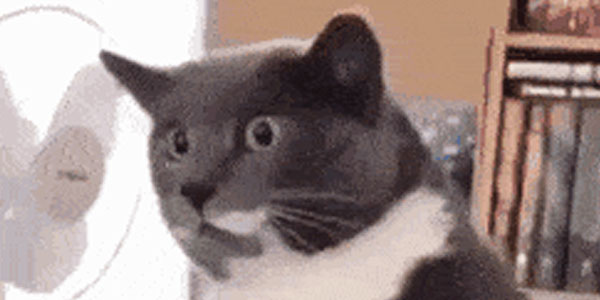 Quand j'essaie d'aider discrètement le binôme qui galère pendant sa démo