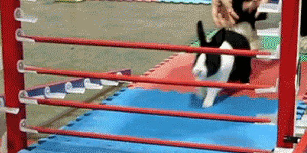 Quand on démarre notre audit de sécurité de l'application