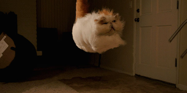 Quand j'intègre une nouvelle bibliothèque ultra complète dans mon projet