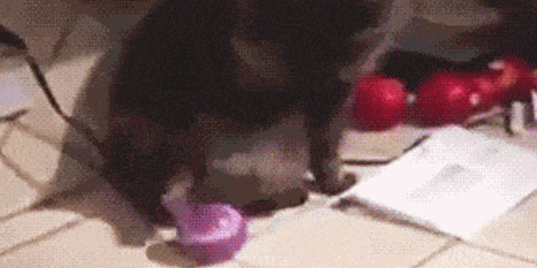 Quand je déploie sur l'environnement de test alors qu'un collègue est en train de travailler dessus