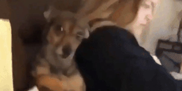 Quand je vois le client prendre plein de notes pendant ma démo