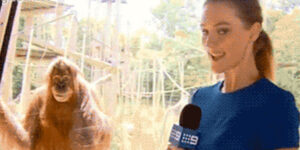 Quand le commercial nous présente aux clients à travers la vitre de l'open space