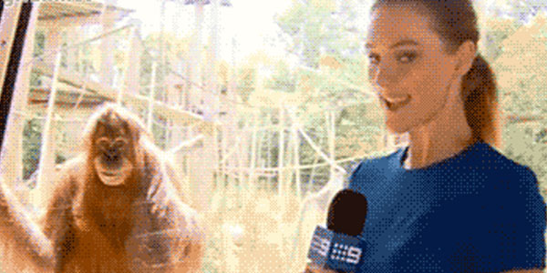 Quand le commercial nous présente aux clients à travers la vitre de l'open space