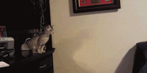 Quand je me sens prêt pour démarrer ma migration de BDD