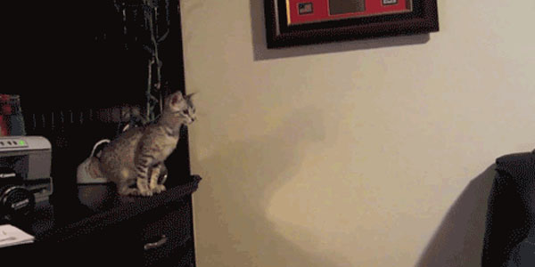 Quand je me sens prêt pour démarrer ma migration de BDD