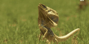 Quand tout le monde me demande le vendredi soir