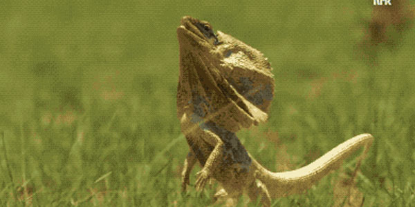 Quand tout le monde me demande le vendredi soir