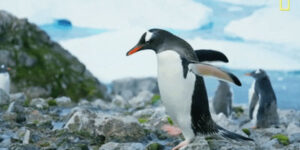 Quand je retourne chercher mon stylo en salle de réunion et qu'une autre réunion a déjà commencé