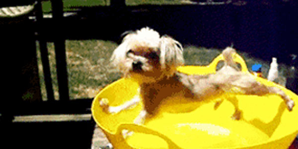 Quand je dois toucher à du code legacy