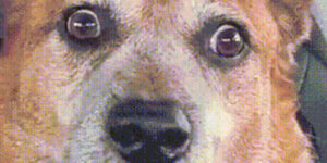 Quand je rejoins une réunion de brainstorming avec l'équipe marketing