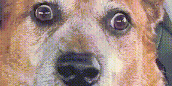 Quand je rejoins une réunion de brainstorming avec l'équipe marketing