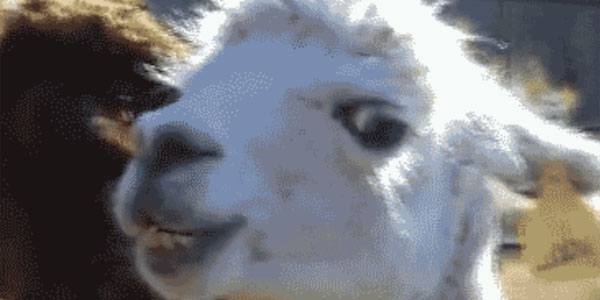 Quand un collègue me dit qu'il a modifié un petit truc dans mon code