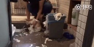 Quand j'aide le stagiaire à rattraper le tir après sa mise en prod foirée