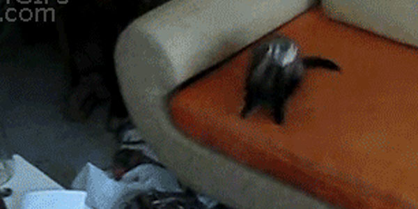 Quand j'ai pris le temps de bien préparer mon update et que j'oublie le where à l'exécution