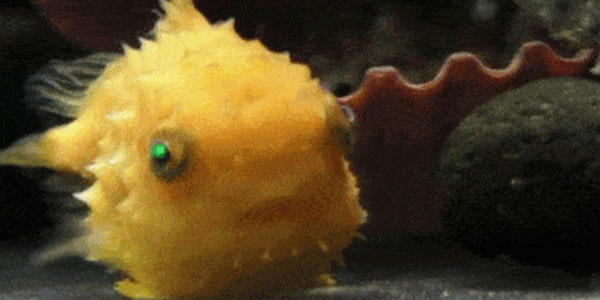 Quand un collègue corrige mon bug en 2 minutes devant moi