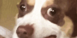 Quand je réalise que j'ai oublié la clause where dans mon update