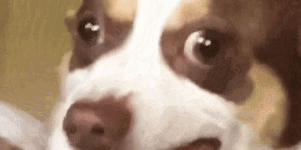 Quand je réalise que j'ai oublié la clause where dans mon update