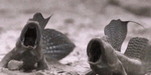 Quand la prod vient de tomber et qu'on est que deux au bureau