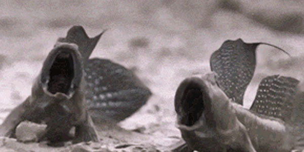 Quand la prod vient de tomber et qu'on est que deux au bureau