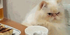 Quand je réalise qu'une nouvelle personne s'est installée dans l'open space