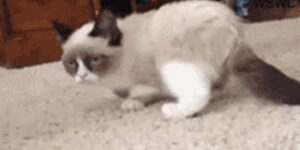 Quand on me demande si je suis chaud pour me déplacer chez le client