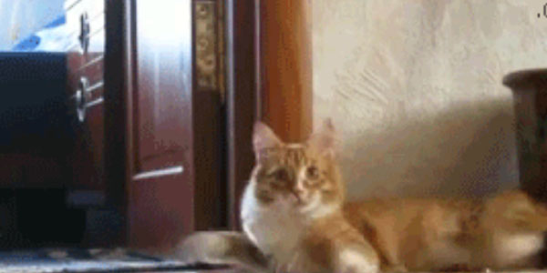 Quand quelqu'un vient me demander un coup de main pour une regex