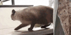 Quand je déploie une petite modif en prod