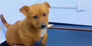 Quand je cherche mon print('coucou') dans les logs