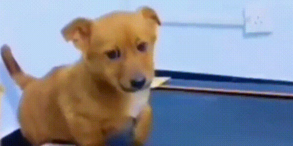 Quand je cherche mon print('coucou') dans les logs