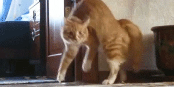 Quand le binôme me demande un coup de main sur une regex