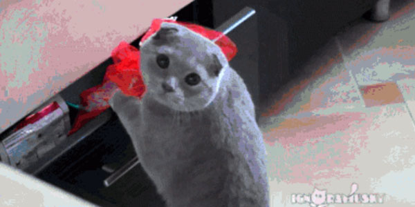 Quand le chef me surprend à corriger en direct sur la prod